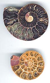 160-003-spam-m.jpg