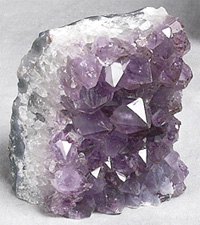 AMYCB-sml.jpg