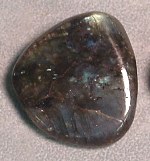 Lab-Pebbles-Sml.JPG