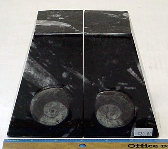 OrthoBE-20.jpg