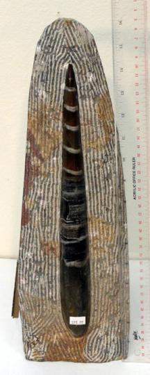 SOFS-25.jpg