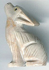 SSA-coyote.jpg
