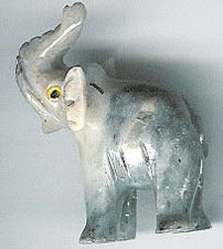 SSA-elephant.jpg