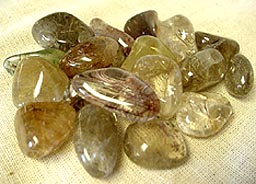 tsrtq-m.jpg
