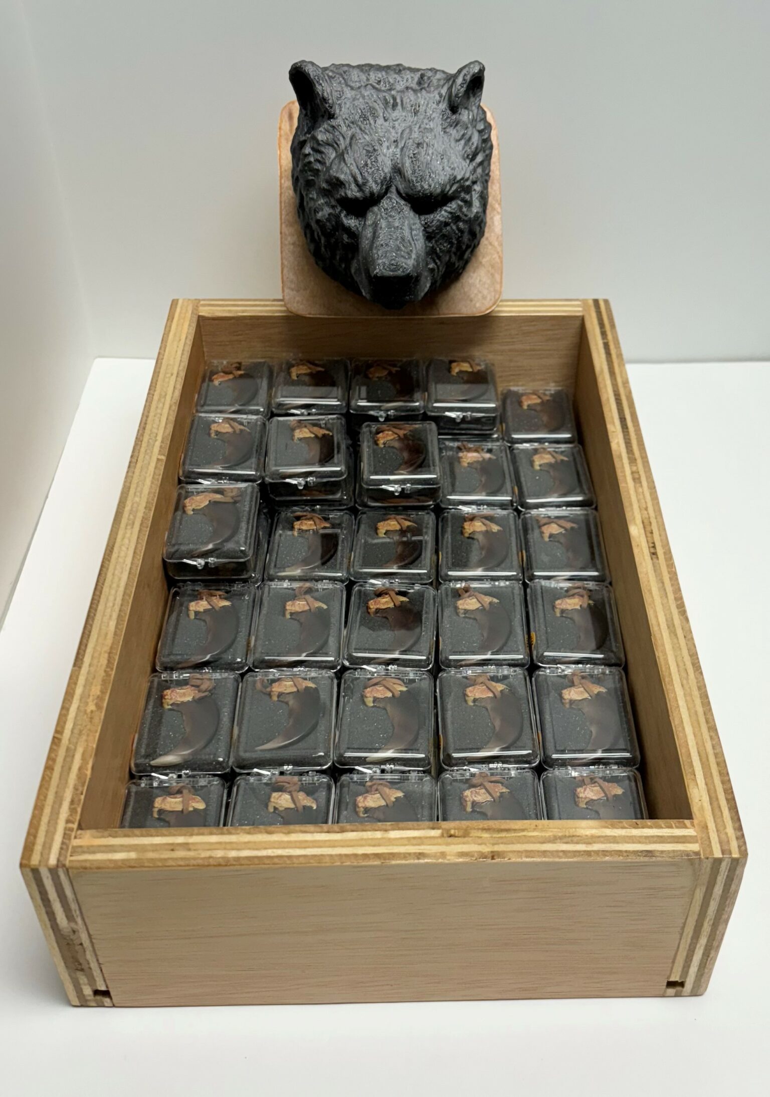 Bear Claw Necklace Display Package