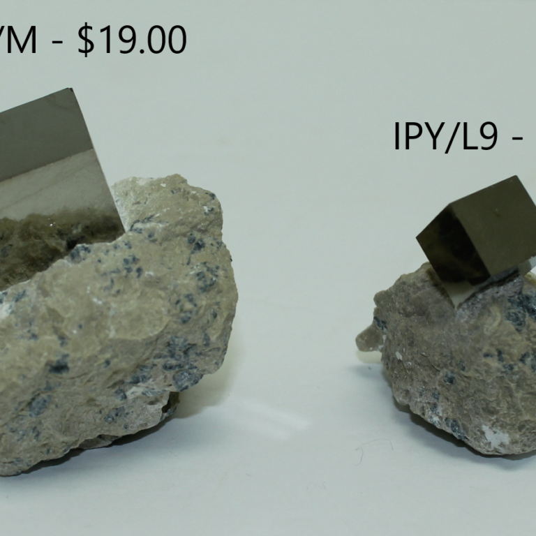 Iron Pyrite in Limestone Matrix
