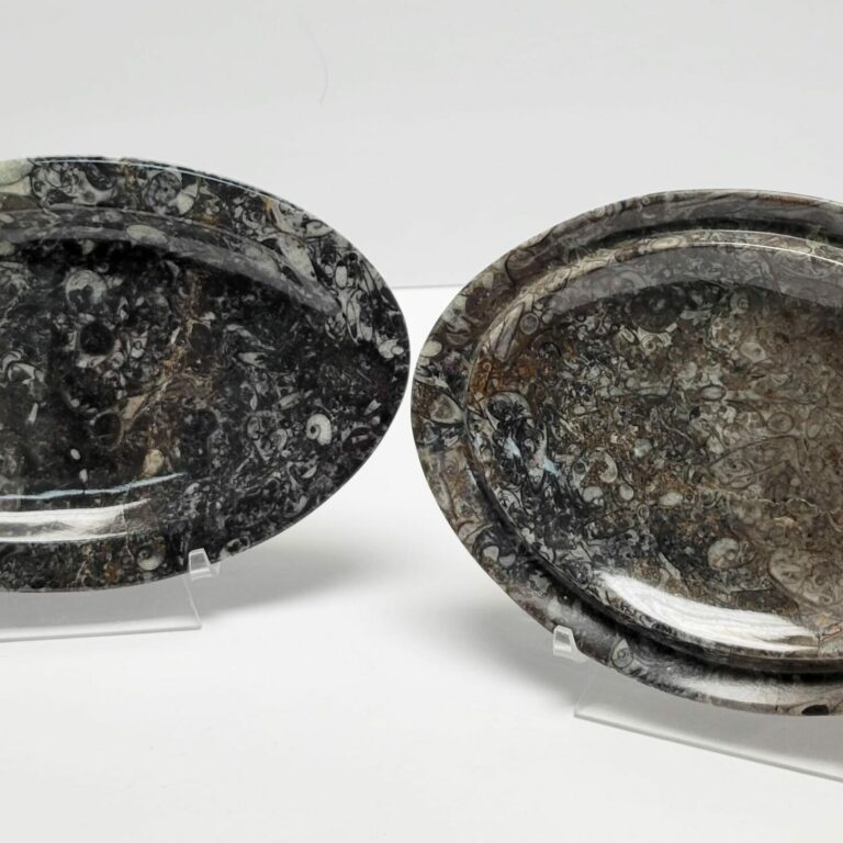 Oval Fossil Dish