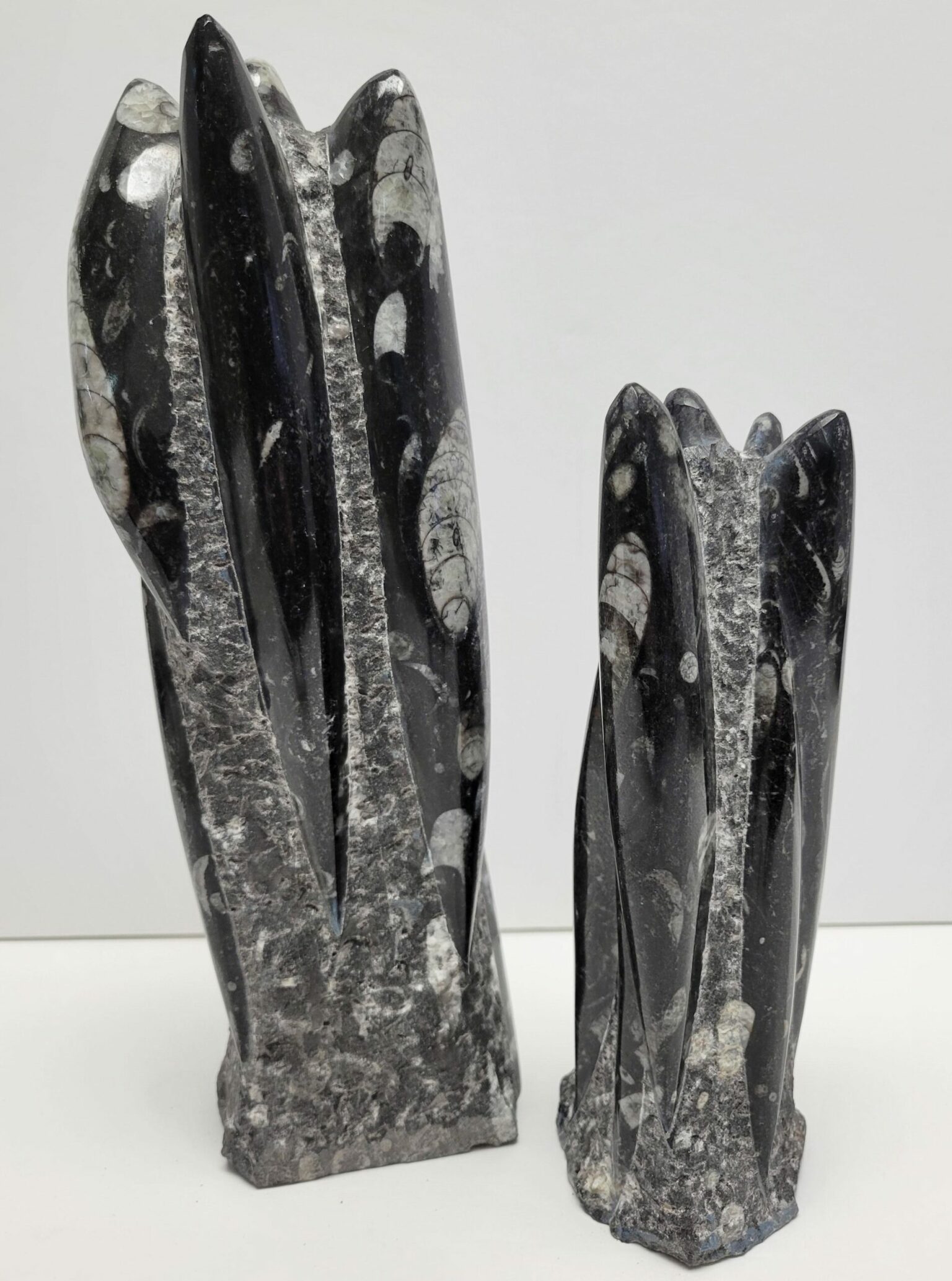 Orthoceras Sculptures