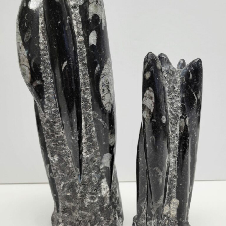 Orthoceras Sculptures