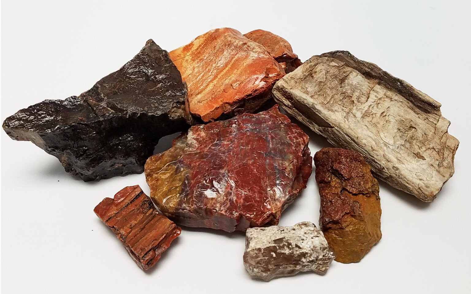 Petrified Wood Chunks