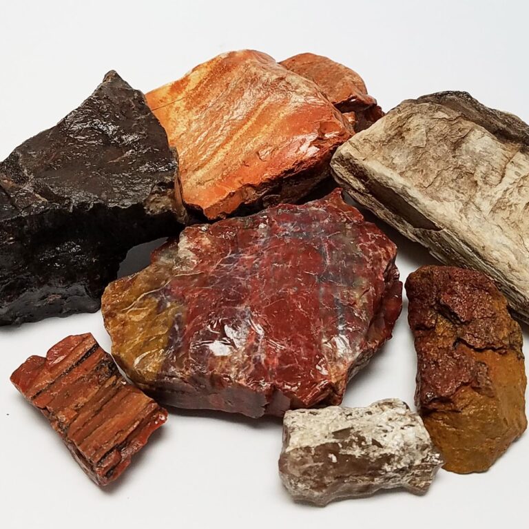 Petrified Wood Chunks