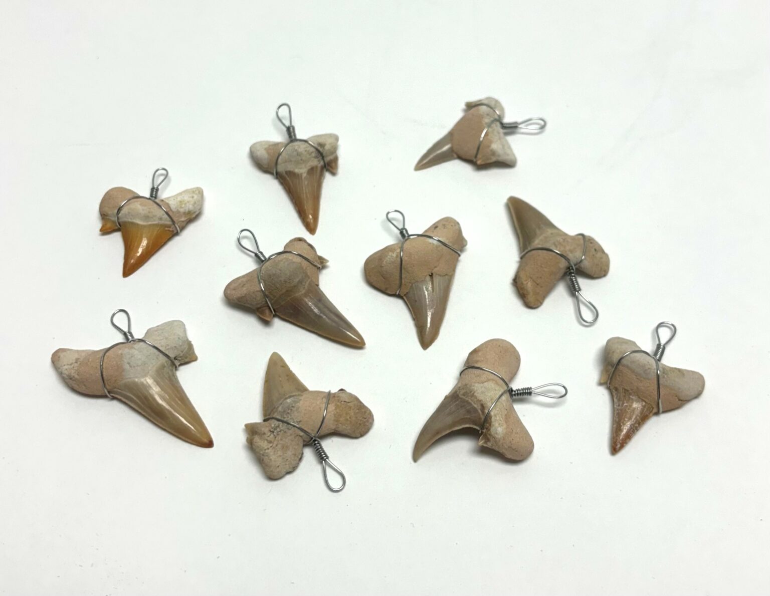 Shark Tooth Pendant (10 pc. per pkg.)