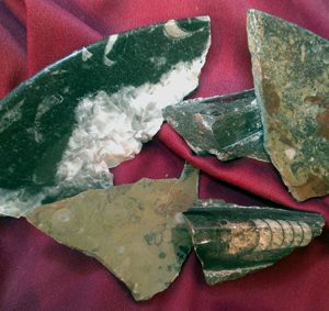 Broken Fossil Stone