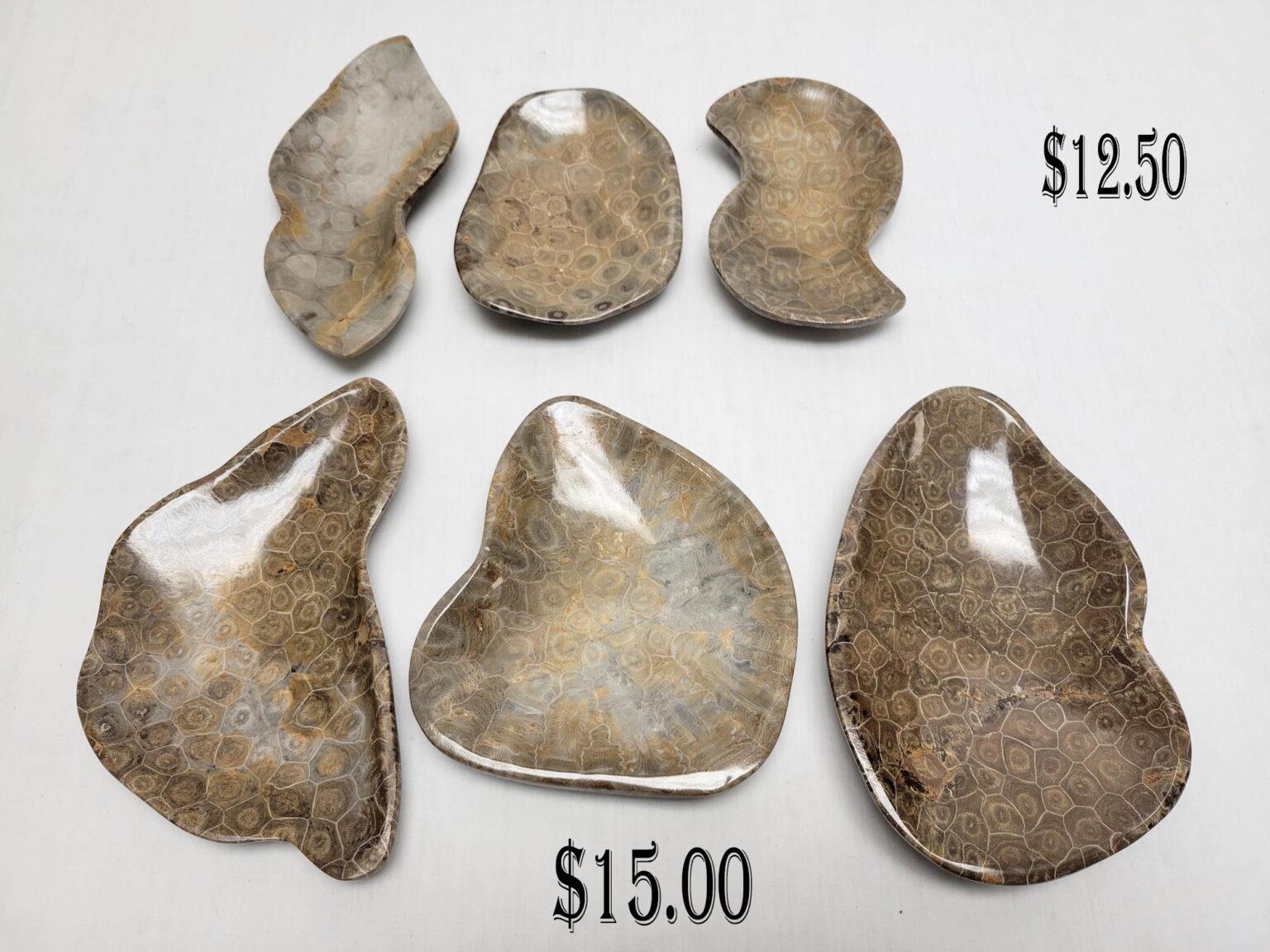 Fossil Coral Dish - Image 2