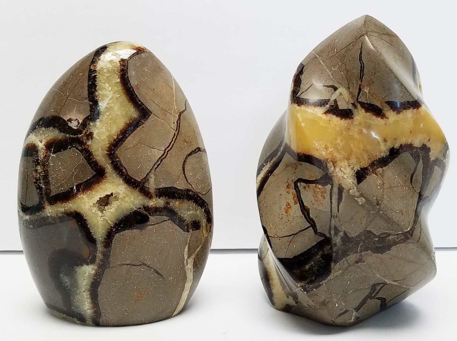 Septarian Free Form
