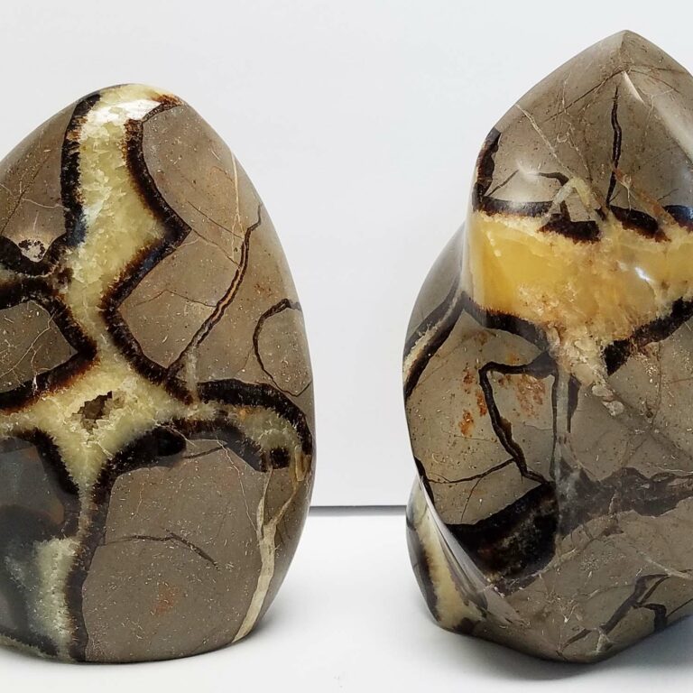 Septarian Free Form