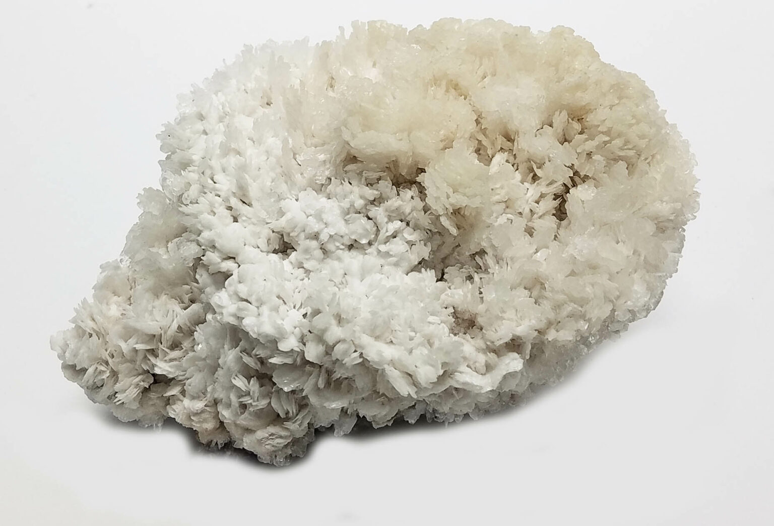 Blade Selenite with Calcite - Image 2