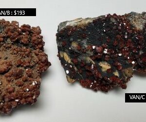 AA Grade Vanadinite Cluster Specimen