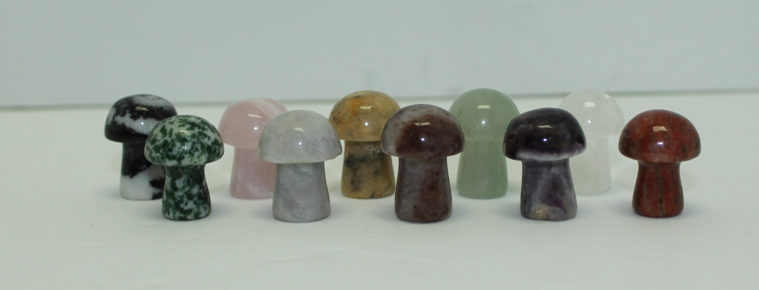Assorted Mixed Stone Mini Mushrooms