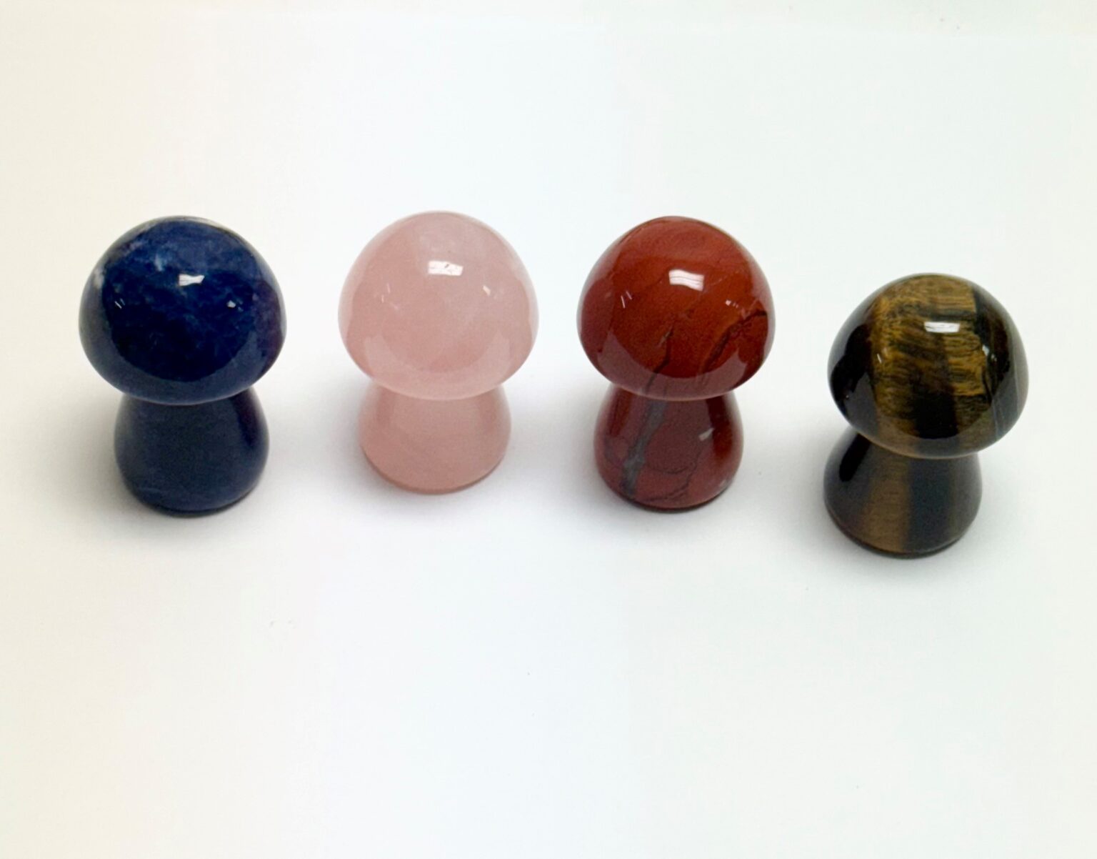 Polished Mushrooms