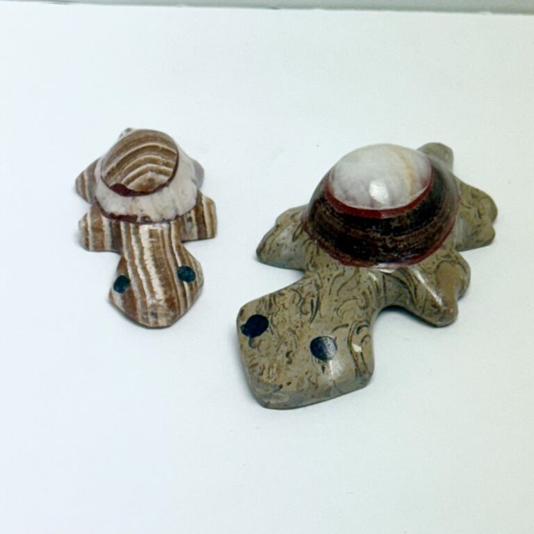 Onyx Turtle